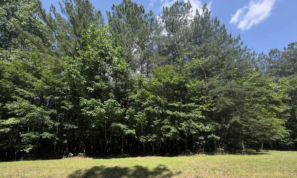 0 Hickory Nut Trl, Spencer, TN 38585