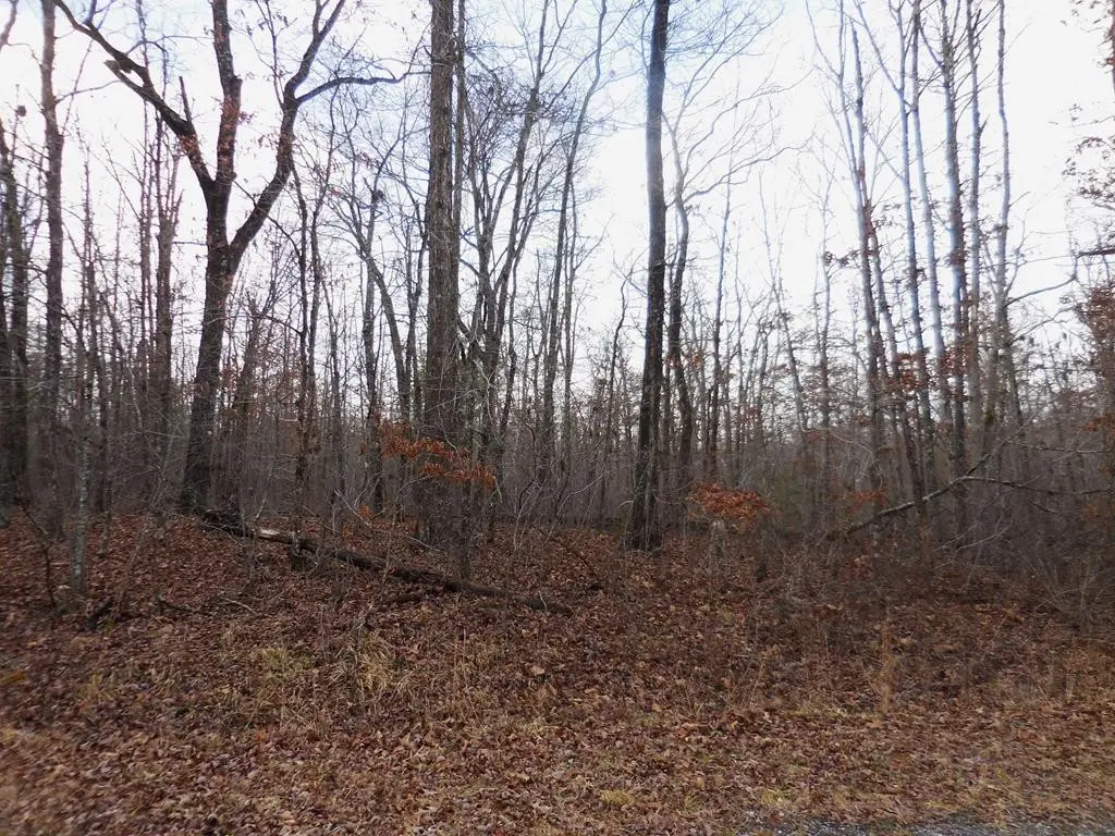 3008 Diego Drive, Crossville, TN 38572