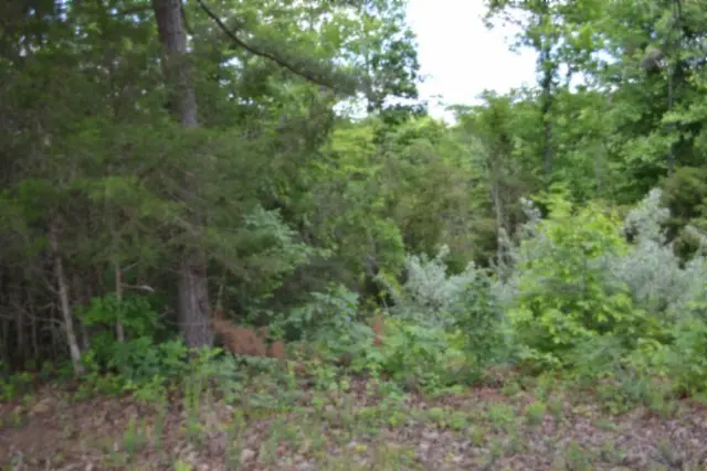 0 Beauchamp Rd, Burkesville, KY 42717