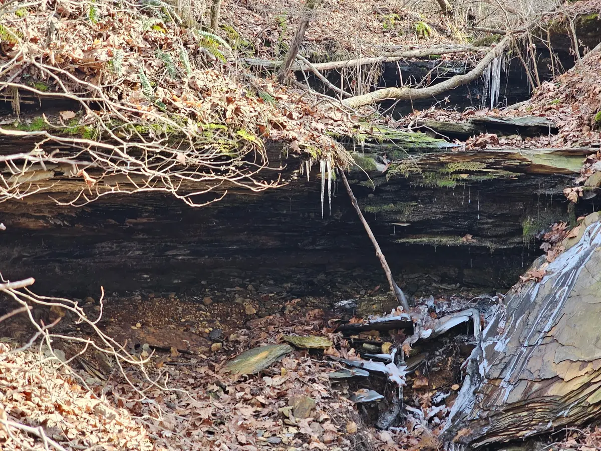 0 Davis Hollow Rd, Franklin, TN 37064
