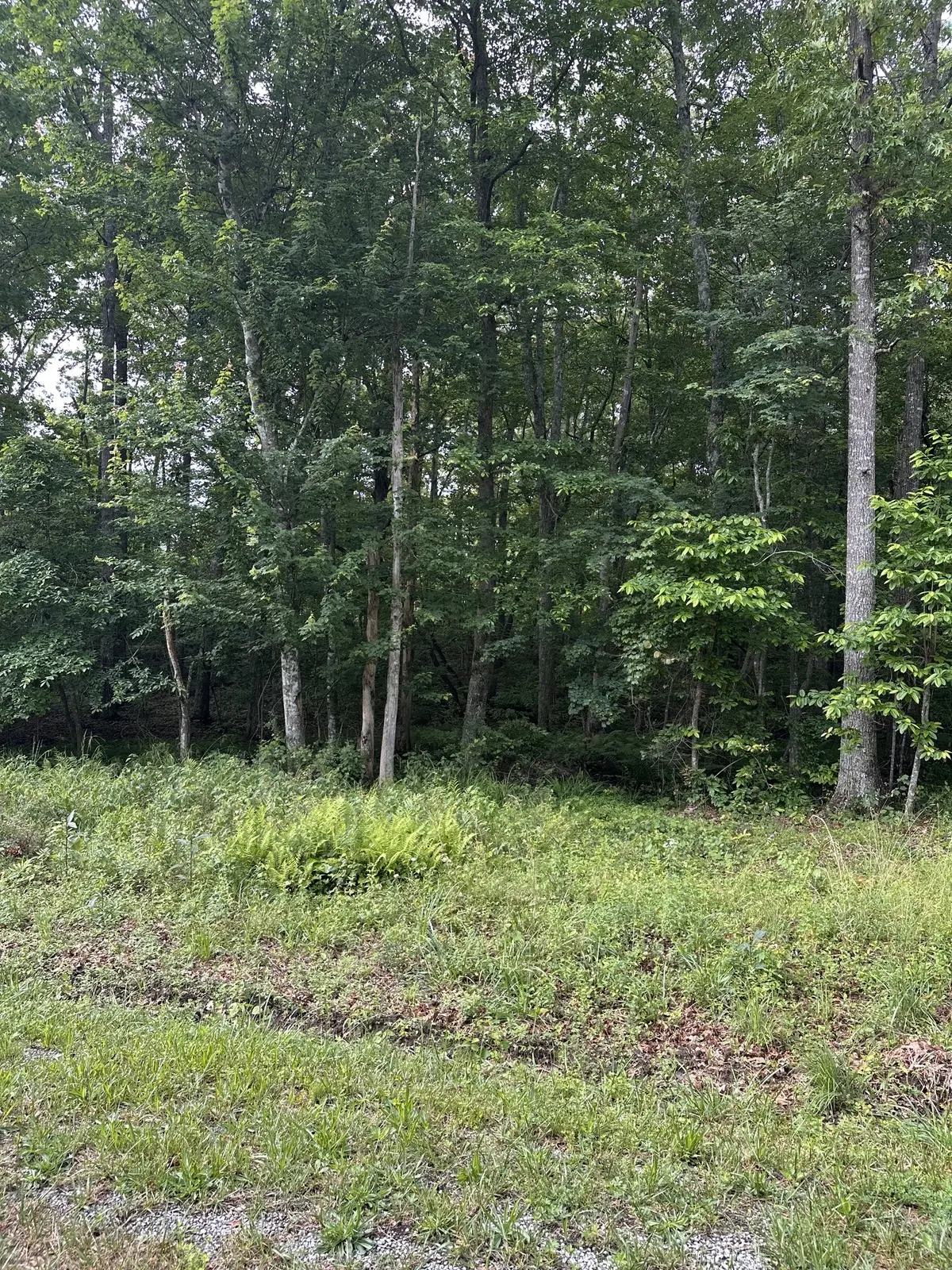 3031 Shawnee Rd, Crossville, TN 38572