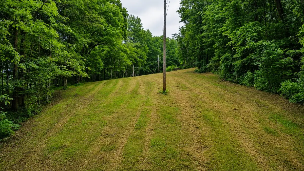 1299 Dixon Town Rd, Prospect, TN 38477