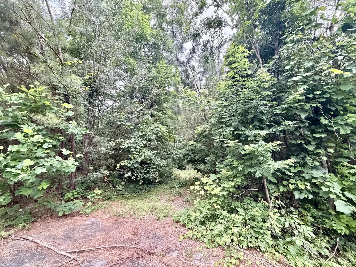 0 Cobbler Ridge Road, Franklin, TN 37064