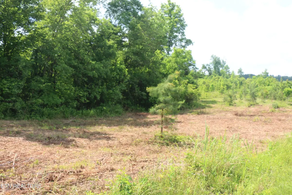 1 N Nopone Valley Rd, Decatur, TN 37322