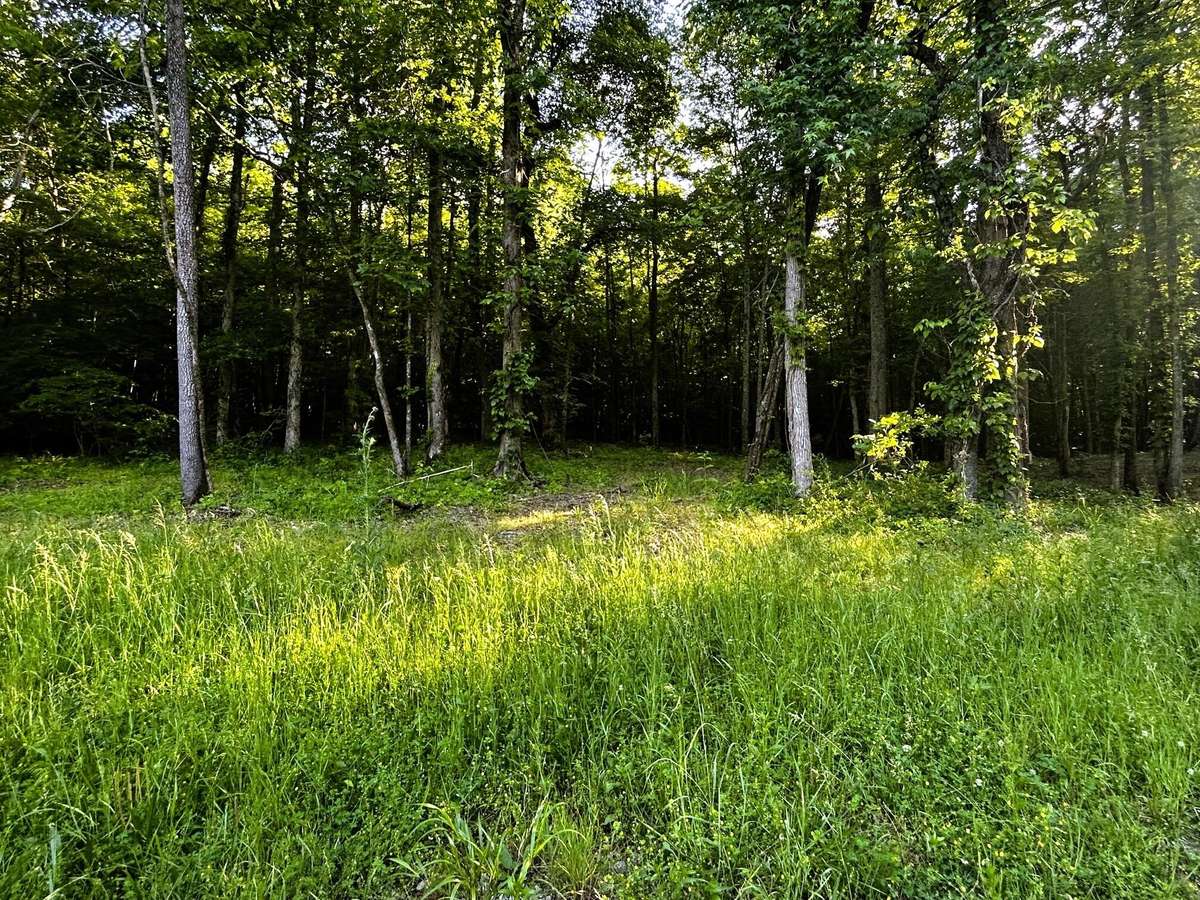 9 Pleasant Hill Road, Ten Mile, TN 37880
