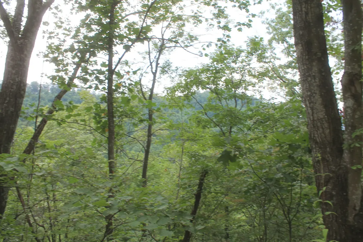 3 Straight Fork Road, Huntsville, TN 37756