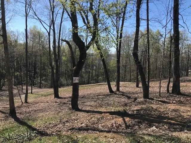 15 Piney View Drive, Spring City, TN 37381