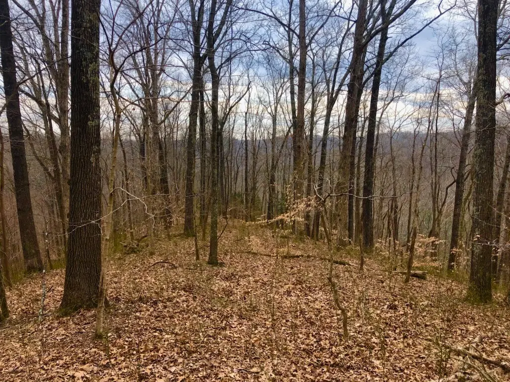 0 Simpkins Rd, Whites Creek, TN 37189