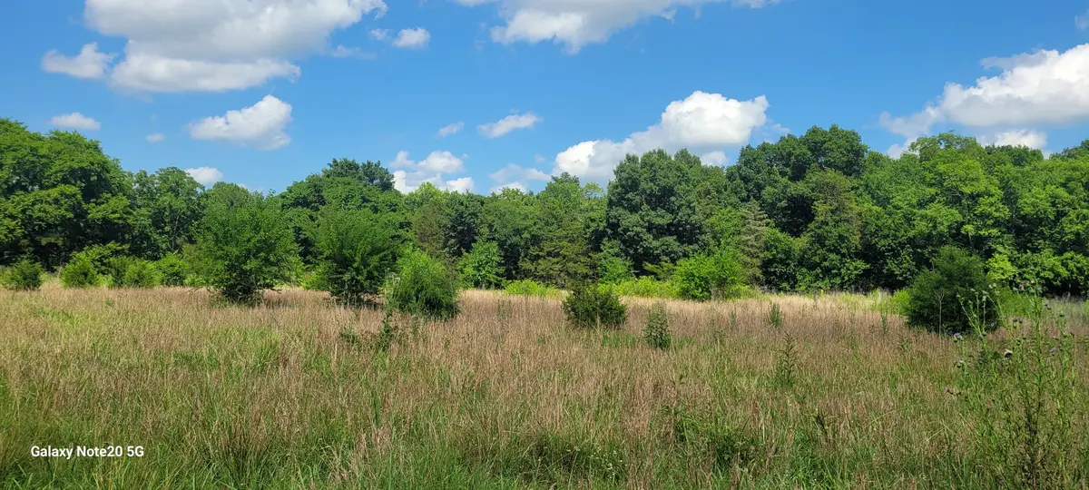 2 Clem Creek Rd, Chapel Hill, TN 37034