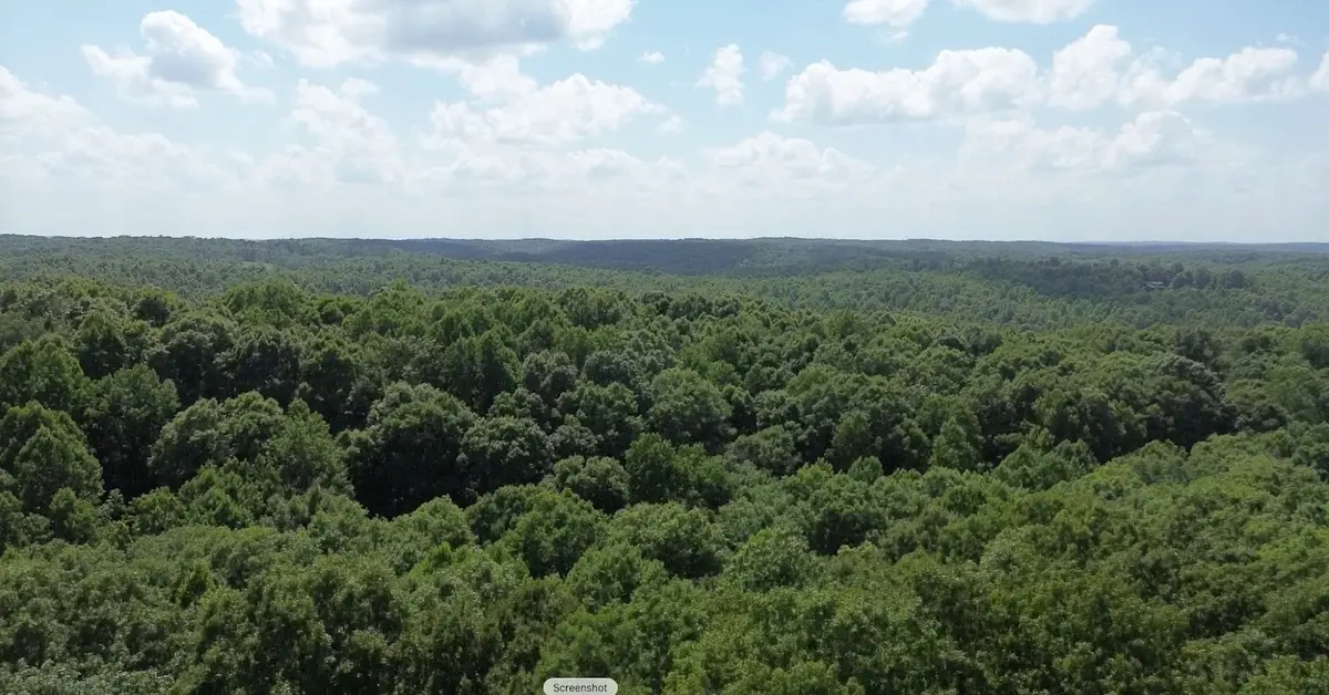 0 Owl Circle, Hurricane Mills, TN 37078