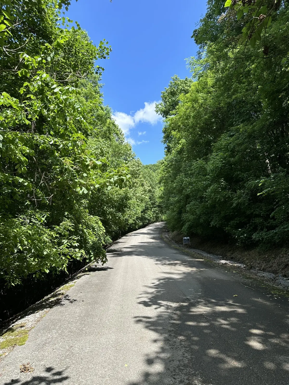 0 Shoreside Dr, Smithville, TN 37166