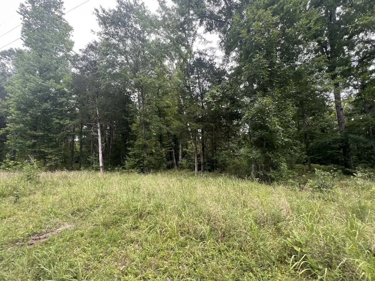 6 Toms Creek Lake Rd, Linden, TN 37096