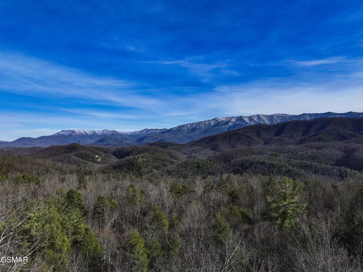 0 Henry Town Road, Sevierville, TN 37876
