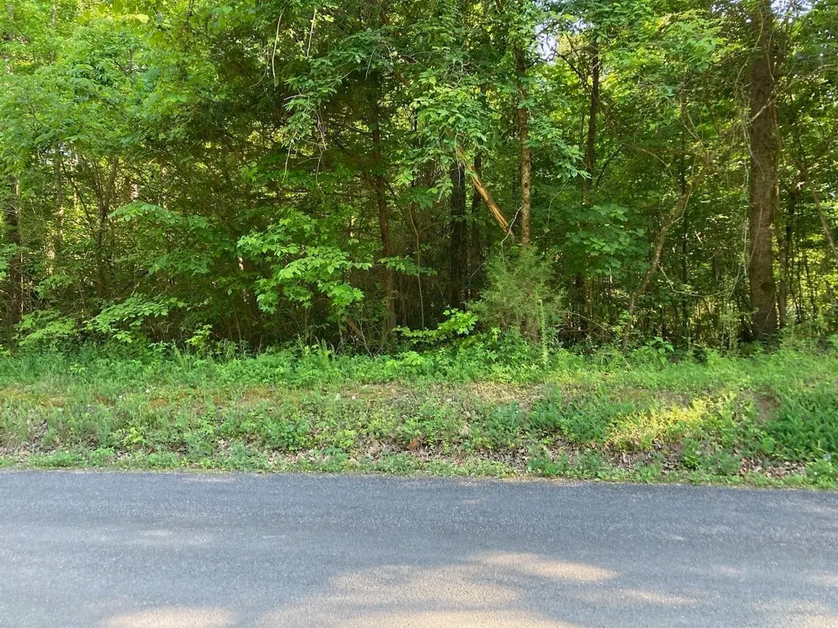 0 Horner Hollow Road, Birchwood, TN 37308
