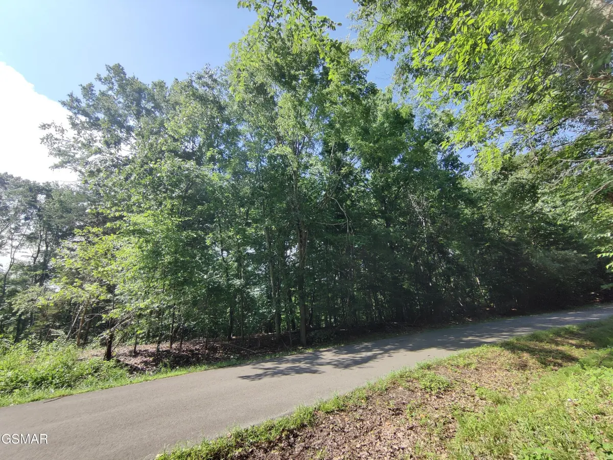 3347 Mountain View Lane, Baneberry, TN 37890