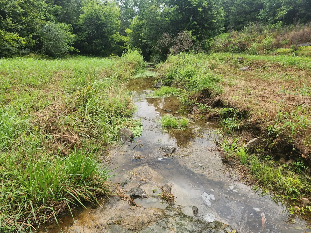 0 Tolbert Hollow Rd, Bradyville, TN 37026