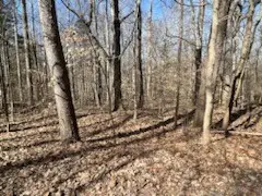 0 Old Tobaccoport Rd, Bumpus Mills, TN 37028