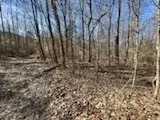 0 Old Tobaccoport Rd, Bumpus Mills, TN 37028