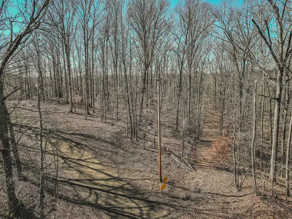 0 Fawn Ridge Rd, Parsons, TN 38363