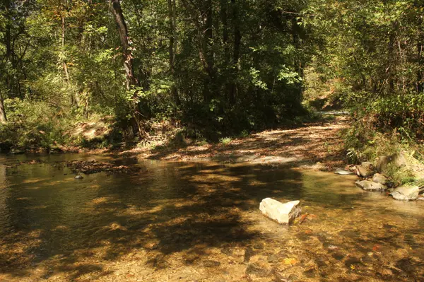 0 Puncheon Creek Rd, Lafayette, TN 37083