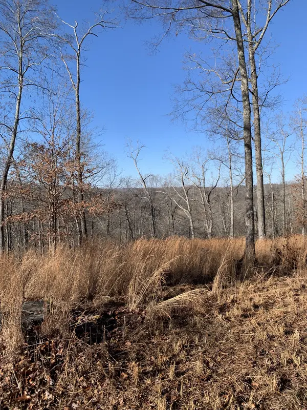 0 Hester Beasley Rd, Nashville, TN 37221