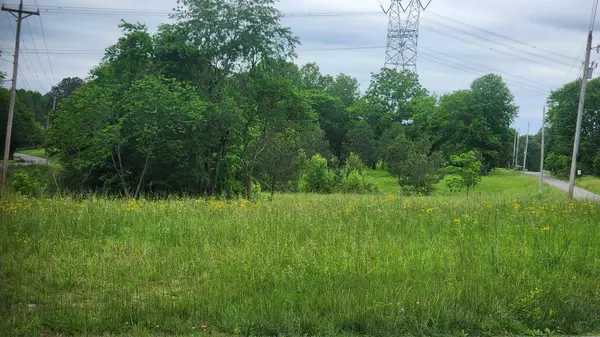 3147 Old New Cut Rd, Springfield, TN 37172