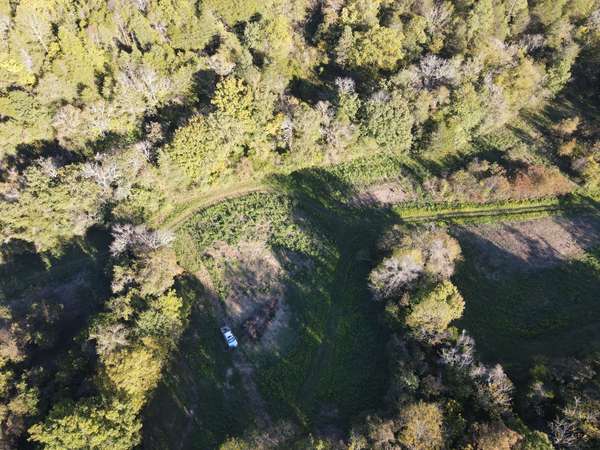 0 Cole Ridge Rd, Manchester, TN 37355