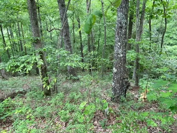 0 Eagle View Cv, Big Sandy, TN 38221