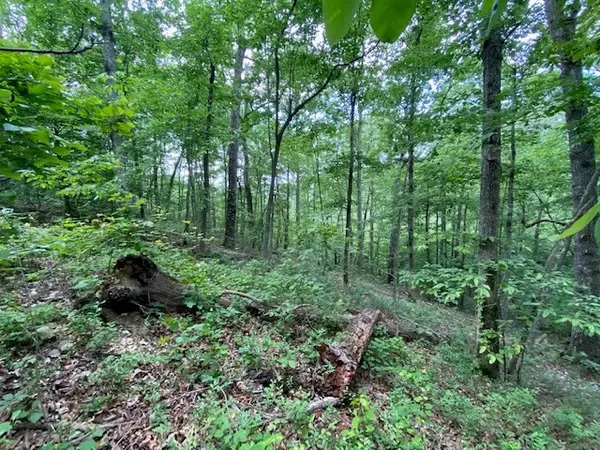 0 Eagle View Cv, Big Sandy, TN 38221