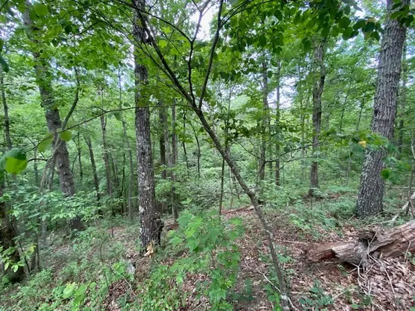 0 Eagle View Cv, Big Sandy, TN 38221