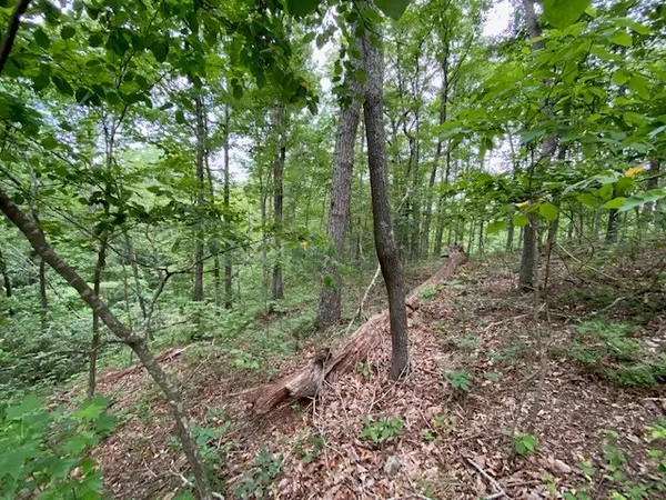 0 Eagle View Cv, Big Sandy, TN 38221