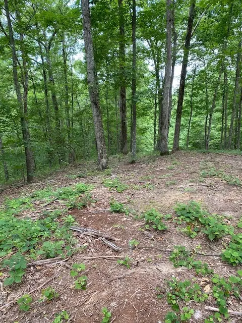 0 Eagle Nest Ln, Big Sandy, TN 38221