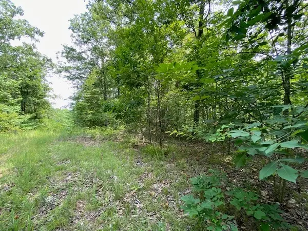 0 Eagle Nest Ln, Big Sandy, TN 38221