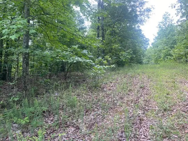 0 Eagle Nest Ln, Big Sandy, TN 38221