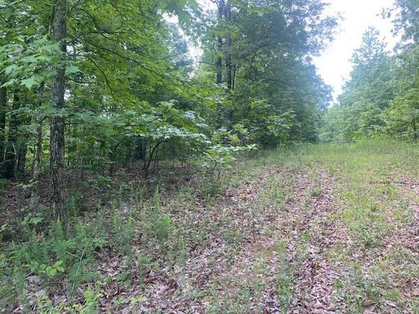 0 Eagle Nest Ln, Big Sandy, TN 38221