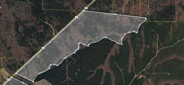 16226 SR 50, Altamont, TN 37301