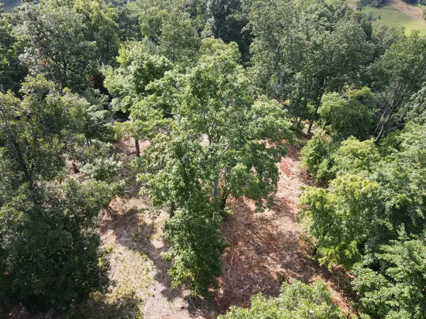 0 Rivendell, Beechgrove, TN 37018