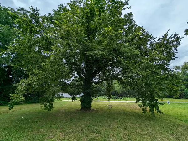 212 Boswell St, Mount Pleasant, TN 38474