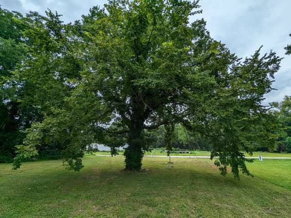 212 Boswell St, Mount Pleasant, TN 38474