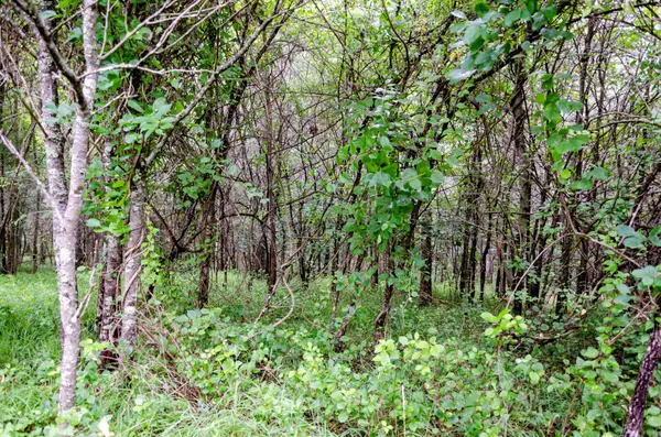 0 Valley Ln, Spencer, TN 38585