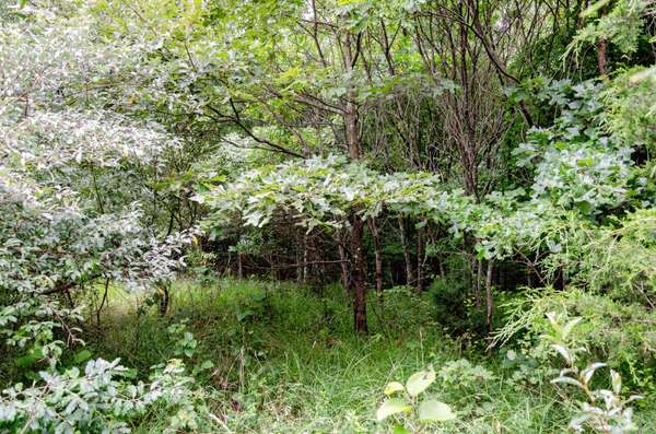 0 Valley Ln, Spencer, TN 38585