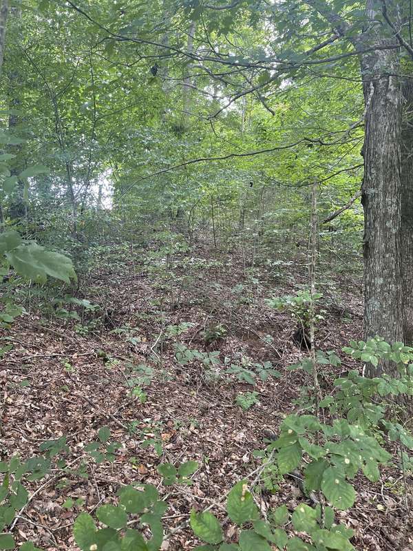 0 HWY 52 bypass west #W, Lafayette, TN 37083