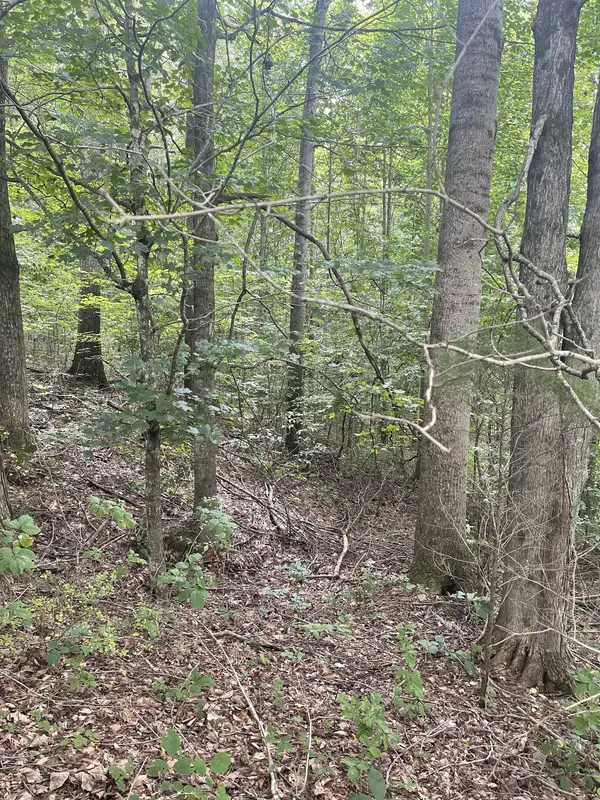 0 HWY 52 bypass west #W, Lafayette, TN 37083