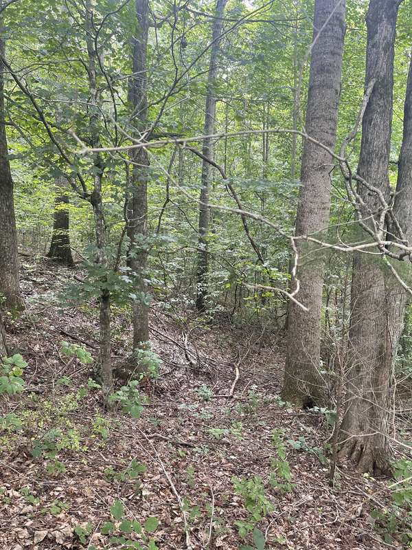 0 HWY 52 bypass west #W, Lafayette, TN 37083
