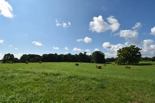 0 Old Quick Rd, Fayetteville, TN 37334