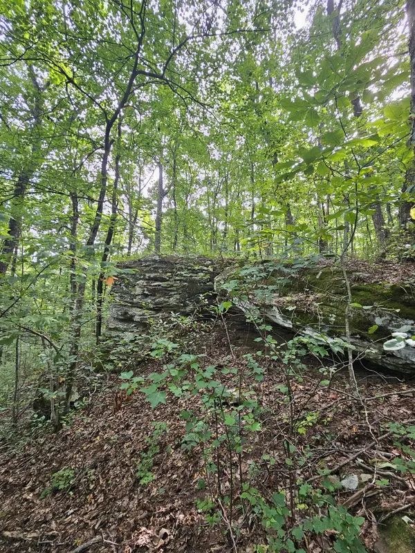 0 60th Ave #S, Gruetli Laager, TN 37339