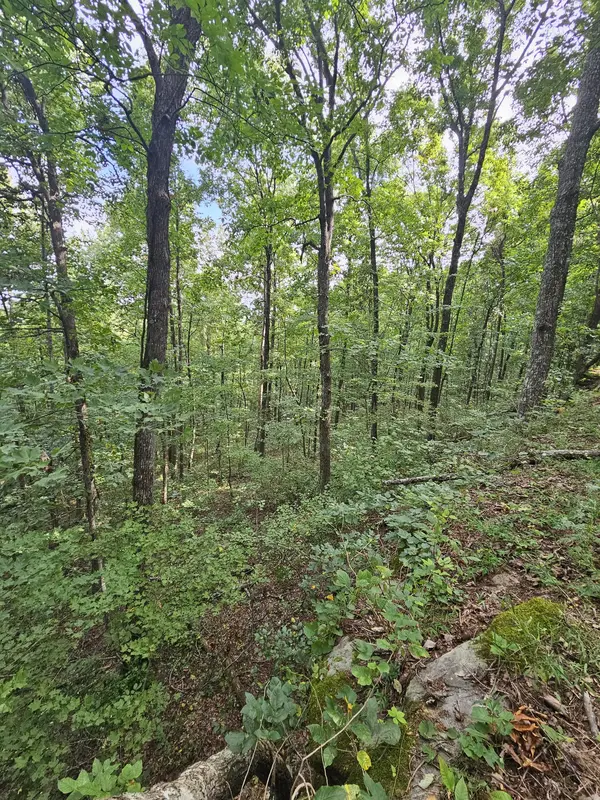 0 60th Ave #S, Gruetli Laager, TN 37339