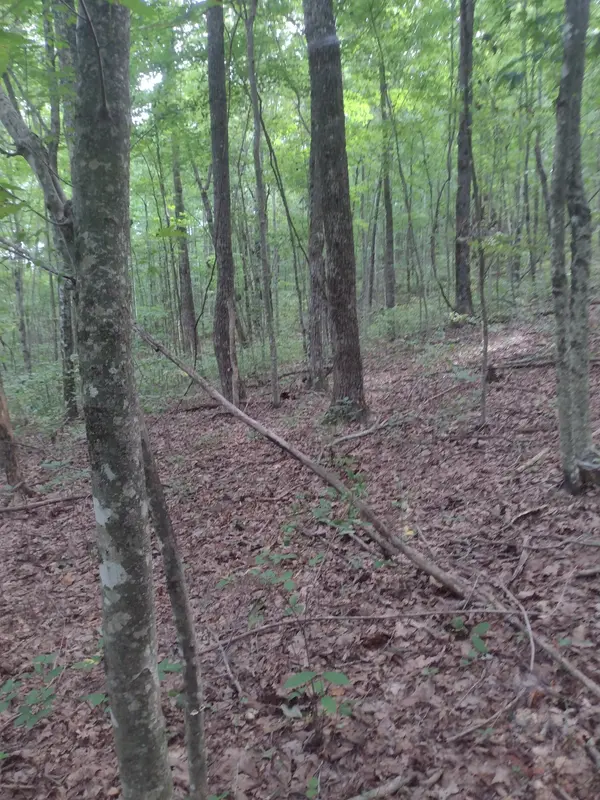 0 N of 60th Ave #S, Gruetli Laager, TN 37339