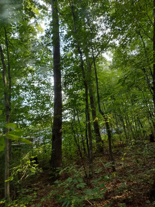 0 N of 60th Ave #S, Gruetli Laager, TN 37339