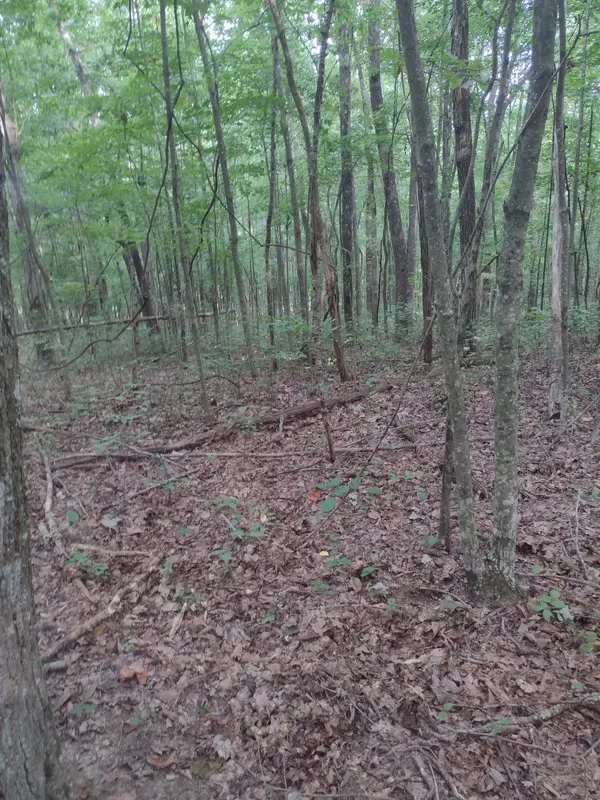 0 N of 60th Ave #S, Gruetli Laager, TN 37339